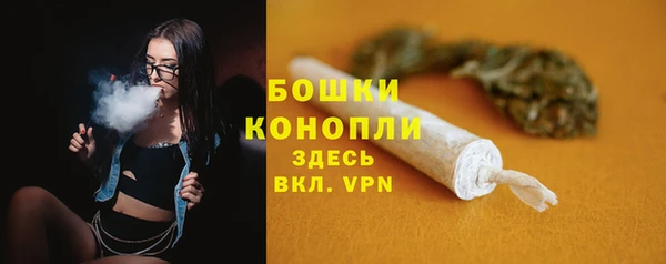 ГАЛЛЮЦИНОГЕННЫЕ ГРИБЫ Бронницы