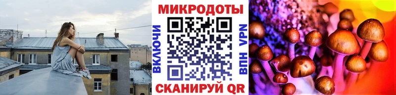 купить закладку  Лыткарино  Галлюциногенные грибы Magic Shrooms 