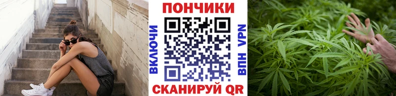 Каннабис SATIVA & INDICA KRAKEN Лыткарино